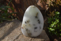 Polished Dendritic Opal Standing Free Forms x 2 From Madagascar