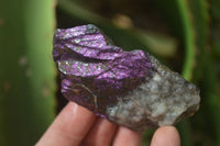 Natural Metallic Purpurite Cobbed Specimens x 6 From Erongo, Namibia