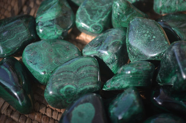 Polished Flower Banded Malachite Free Forms x 70 From Congo