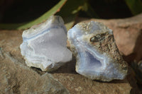 Natural Etched Blue Chalcedony Specimens x 12 From Nsanje, Malawi