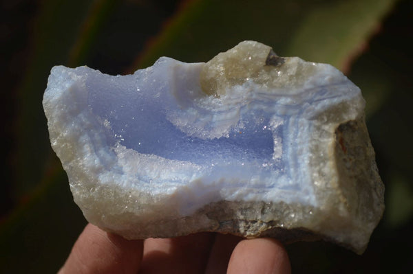 Natural Etched Blue Chalcedony Specimens x 12 From Nsanje, Malawi