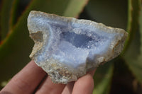 Natural Etched Blue Chalcedony Specimens x 12 From Nsanje, Malawi