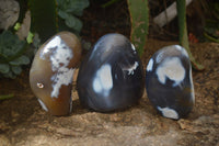 Polished Orca Agate Standing Free Forms x 3 From Madagascar