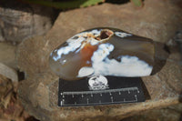 Polished Orca Agate Standing Free Forms x 3 From Madagascar