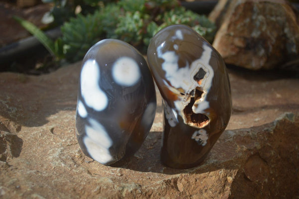 Polished Orca Agate Standing Free Forms x 3 From Madagascar