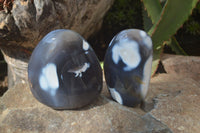 Polished Orca Agate Standing Free Forms x 3 From Madagascar