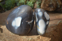 Polished Orca Agate Standing Free Forms x 3 From Madagascar