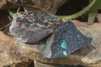 Natural Libethenite Crystals On Dolomite Matrix Specimens x 2 From Shituru, Congo