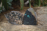 Natural Libethenite Crystals On Dolomite Matrix Specimens x 2 From Shituru, Congo