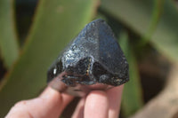 Natural Alluvial Schorl Black Tourmaline Crystals x 12 From Zimbabwe