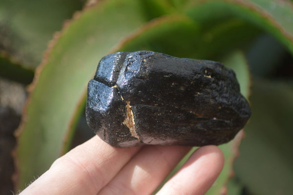 Natural Alluvial Schorl Black Tourmaline Crystals x 12 From Zimbabwe