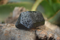 Natural Alluvial Schorl Black Tourmaline Crystals x 12 From Zimbabwe