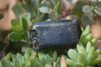 Natural Alluvial Schorl Black Tourmaline Crystals x 12 From Zimbabwe