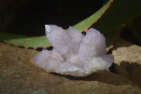 Natural Amethyst / Ametrine Spirit Quartz Clusters x 12 From South Africa