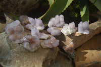 Natural Amethyst / Ametrine Spirit Quartz Clusters x 12 From South Africa