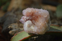 Natural Amethyst / Ametrine Spirit Quartz Clusters x 12 From South Africa