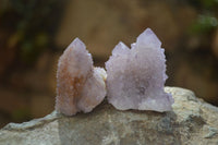 Natural Amethyst / Ametrine Spirit Quartz Clusters x 12 From South Africa