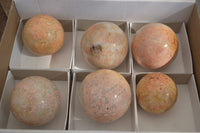 Polished Feldspar In Quartz Spheres x 6 From Zimbabwe