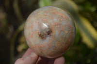 Polished Feldspar In Quartz Spheres x 6 From Zimbabwe