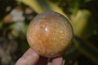 Polished Feldspar In Quartz Spheres x 6 From Zimbabwe