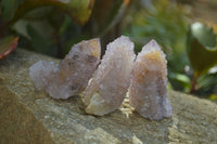 Natural Amethyst / Ametrine Spirit Quartz Single Crystals x 35 From South Africa