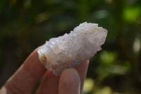 Natural Amethyst / Ametrine Spirit Quartz Single Crystals x 35 From South Africa