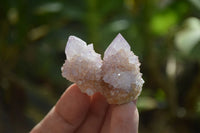 Natural Amethyst / Ametrine Spirit Quartz Single Crystals x 35 From South Africa