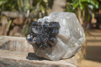 Natural Smokey Window Quartz Crystal Specimen x 1 From Brandberg, Namibia