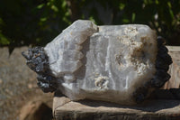 Natural Smokey Window Quartz Crystal Specimen x 1 From Brandberg, Namibia