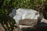 Natural Smokey Window Quartz Crystal Specimen x 1 From Brandberg, Namibia