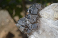 Natural Smokey Window Quartz Crystal Specimen x 1 From Brandberg, Namibia