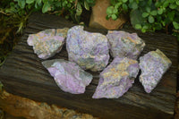 Natural Stichtite & Serpentine Specimens x 6 From Barberton, South Africa