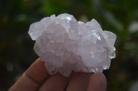 Natural Amethyst / Ametrine Spirit Quartz Clusters x 12 From South Africa