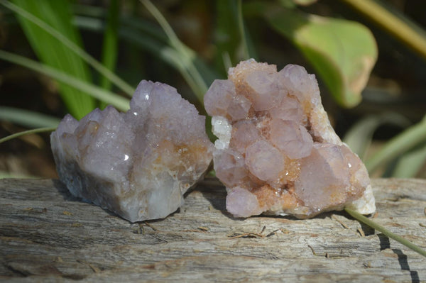 Natural Amethyst / Ametrine Spirit Quartz Clusters x 12 From South Africa