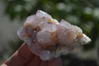 Natural Amethyst / Ametrine Spirit Quartz Clusters x 12 From South Africa