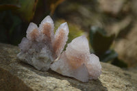 Natural Amethyst / Ametrine Spirit Quartz Clusters x 12 From South Africa