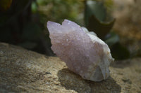 Natural Amethyst / Ametrine Spirit Quartz Clusters x 12 From South Africa