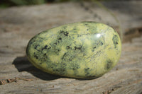 Polished Leopard Stone Free Forms x 6 From Nyanga, Zimbabwe