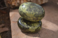 Polished Leopard Stone Free Forms x 6 From Nyanga, Zimbabwe