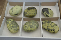 Polished Leopard Stone Free Forms x 6 From Nyanga, Zimbabwe