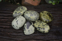 Polished Leopard Stone Free Forms x 6 From Nyanga, Zimbabwe