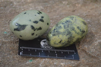 Polished Leopard Stone Free Forms x 6 From Nyanga, Zimbabwe