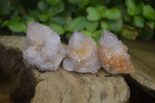 Natural Ametrine Spirit Quartz Single Crystals x 35 From Boekenhouthoek, South Africa