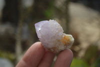 Natural Ametrine Spirit Quartz Single Crystals x 35 From Boekenhouthoek, South Africa