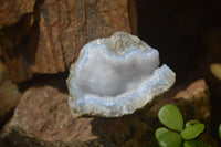 Natural Blue Lace Agate Geode Specimens x 12 From Nsanje, Malawi