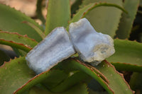 Natural Blue Lace Agate Geode Specimens x 12 From Nsanje, Malawi