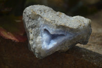 Natural Blue Lace Agate Geode Specimens x 12 From Nsanje, Malawi