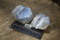 Natural Blue Lace Agate Geode Specimens x 12 From Nsanje, Malawi