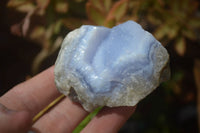 Natural Blue Lace Agate Geode Specimens x 12 From Nsanje, Malawi