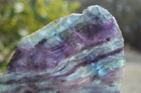 Polished Watermelon Fluorite Slices x 2 From Uis, Namibia